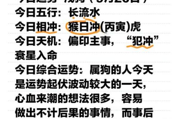 生肖相冲如何调整自身运势