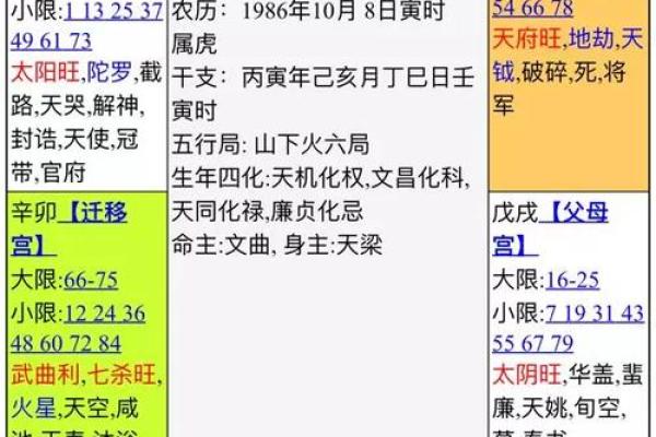 属龙和属兔能走多远？从五行看配对情况