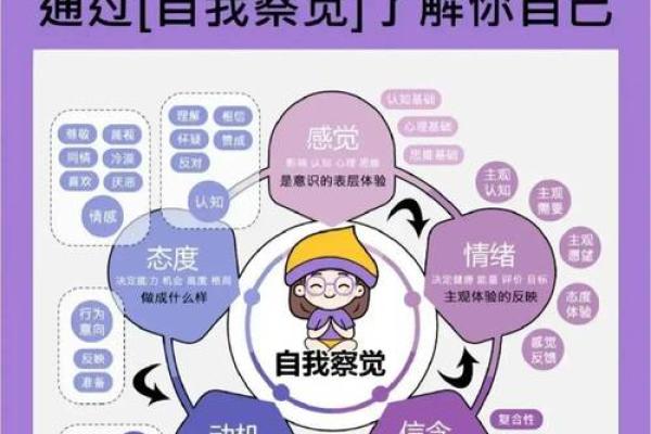 生肖相冲如何影响自我认知与成长