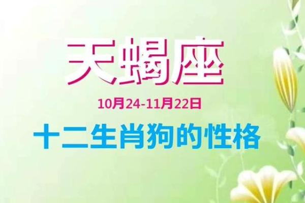 生肖相冲与人际关系的挑战与解决方案