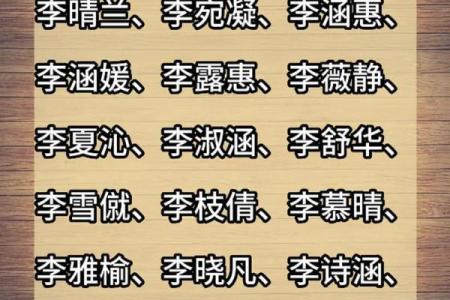 李姓鸡宝宝取名指南：如何选一个既独特又有寓意的名字