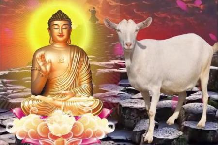 生肖配对：属羊男和属狗女是否天作之合