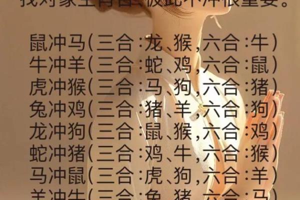 生肖相冲与个性矛盾的交织与解决