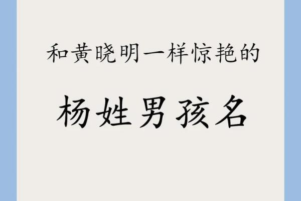 选一个与众不同的杨姓宝宝名字