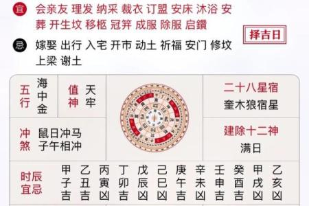 生肖相冲如何调和运势