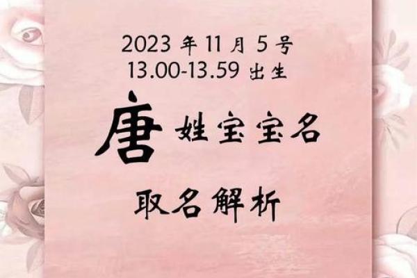 轻松为宝宝起名字：免费在线平台的选择指南