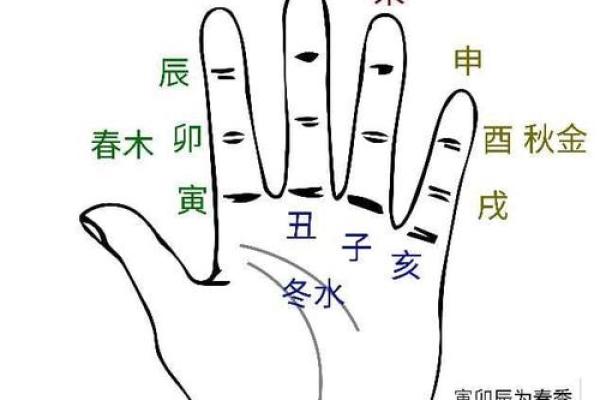 丑年命理中的五行属性与运势变化