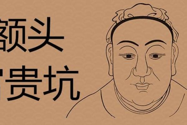老虎面相与命运的关系：从面部特征揭示人生运势