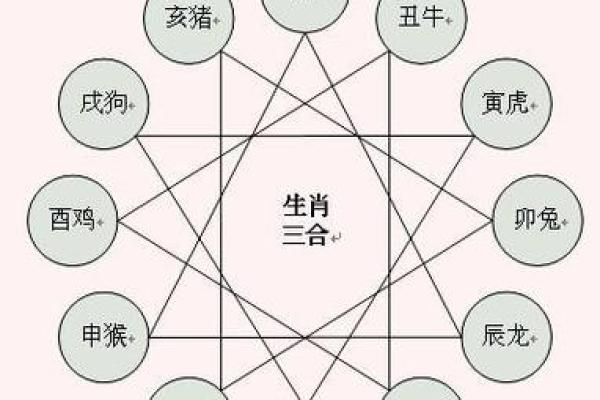 生肖相冲对家庭和睦的影响