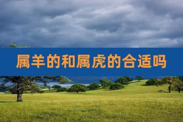 属羊和属虎的婚姻如何经营？解读相合与相冲