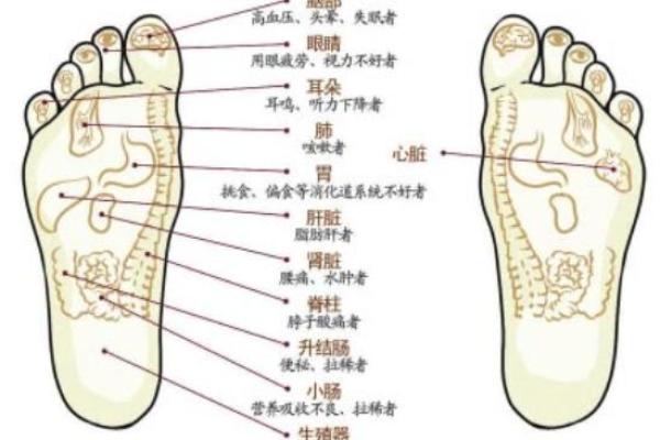 阴部痣相与身体健康的潜在关系