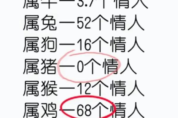 属马和属兔的匹配度如何 适合做伴侣吗