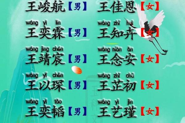 如何选择专业的宝宝起名公司为孩子命名