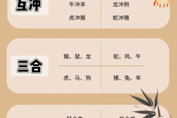 生肖相冲会如何影响你的财富积累