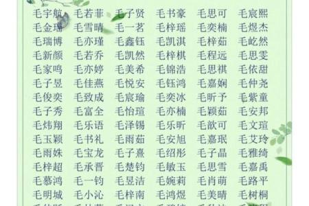 如何为封姓女宝宝挑选一个既独特又有意义的名字