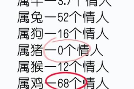属马和属兔的匹配度如何 适合做伴侣吗
