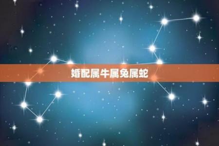 属牛与属兔能否携手共度一生？
