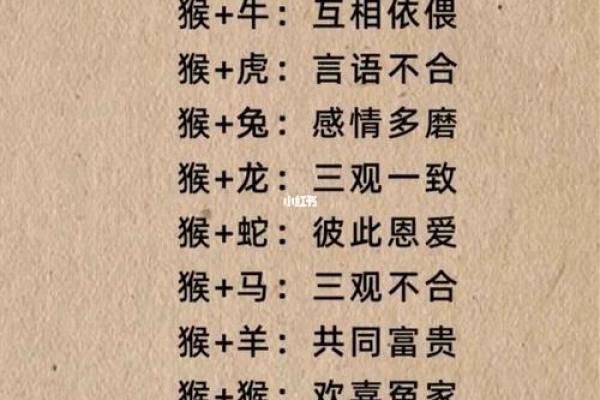 属狗与属蛇配对：性格差异与互补性