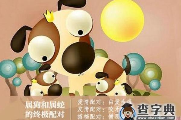 属狗与属蛇配对：性格差异与互补性