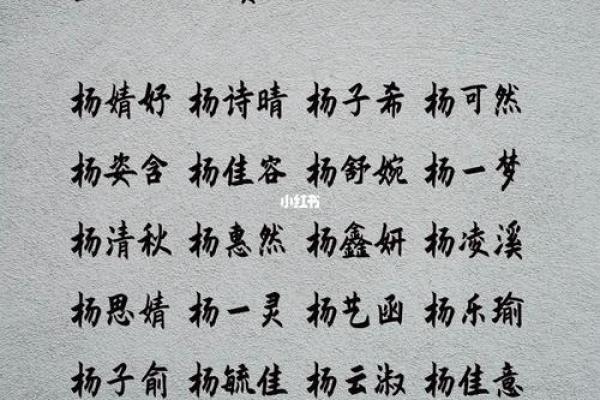 杨姓宝宝起名的五大原则与注意事项