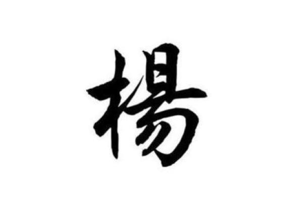 杨姓宝宝起名的五大原则与注意事项