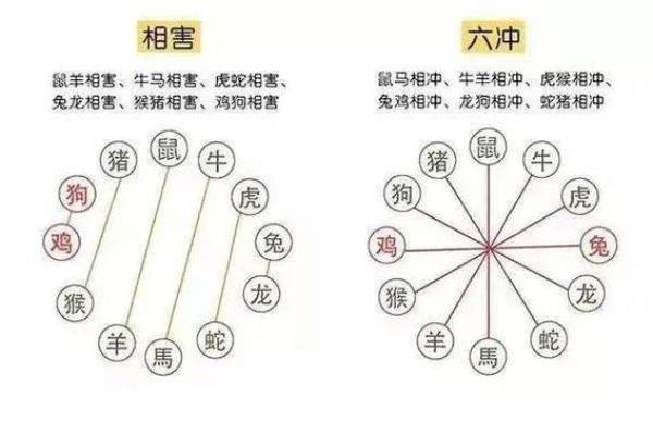 生肖相冲是否能通过改名化解