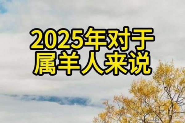 羊年生人如何利用生肖运势提升人生