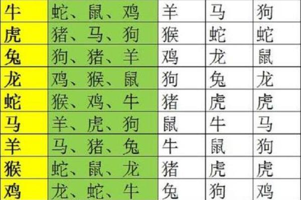 生肖相冲的五行调和与补救措施