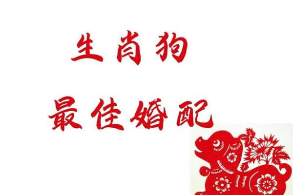 属猴男和属狗女的婚姻配对分析