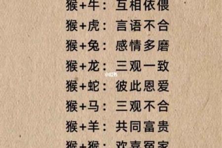 属狗与属蛇配对：性格差异与互补性