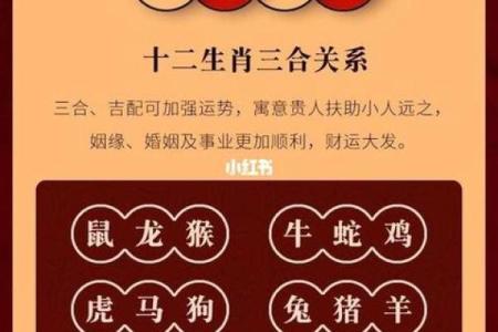 属什么生肖对命运的影响