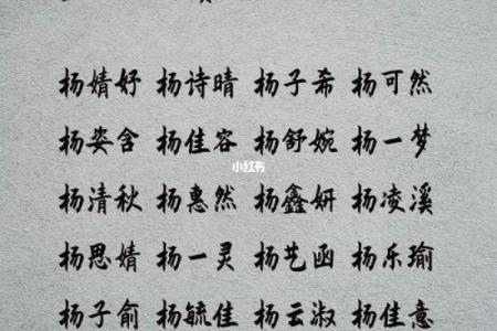 杨姓宝宝起名的五大原则与注意事项