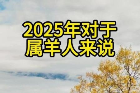 羊年生人如何利用生肖运势提升人生