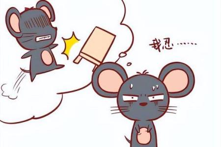 生肖相冲与人际沟通中的矛盾和化解