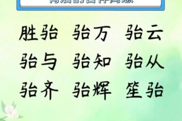 流行的宝宝名字背后寓意揭秘