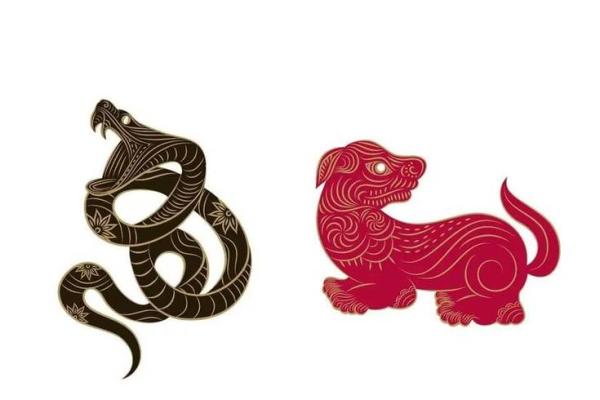属蛇与属狗的爱情匹配度如何揭秘