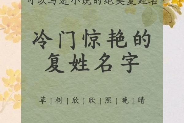 给宝宝起名的五个实用步骤，帮助家长做出最佳选择