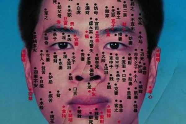 如何通过痣相辨别左右两侧的不同含义