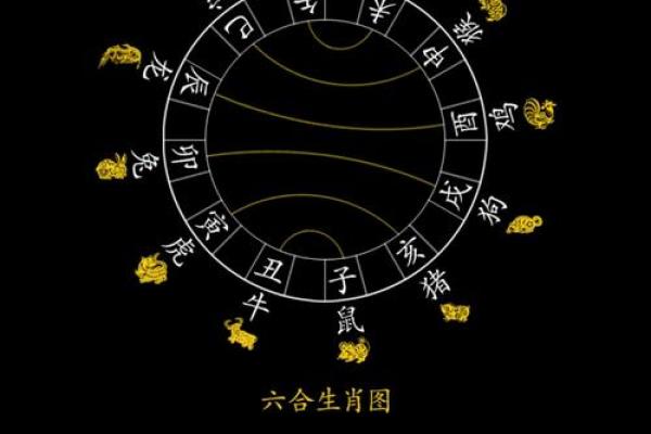 生肖相冲的化解秘诀和实际案例