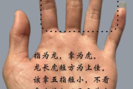 手相贵命：揭秘如何通过手相掌控命运的奥秘
