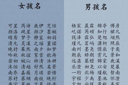 袁姓女宝宝起名的创意与技巧