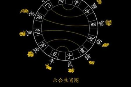 生肖相冲的化解秘诀和实际案例