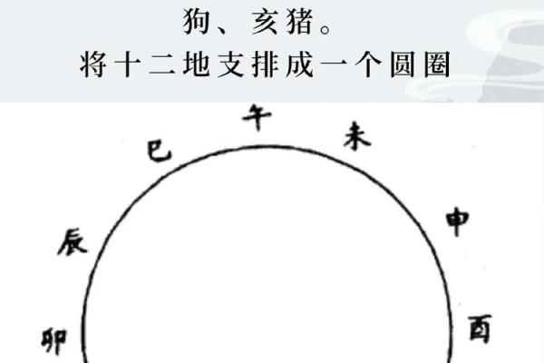 生肖相冲的化解方法与技巧