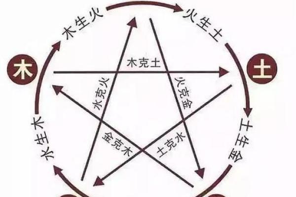 如何理解己土命的命运走向与运势变化
