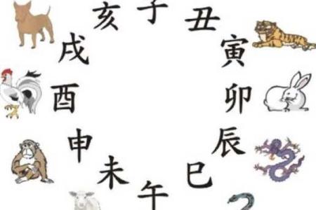 属羊男和属狗女的婚姻匹配度分析