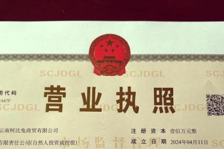 从行业特点到市场定位：公司起名格式的全面解析