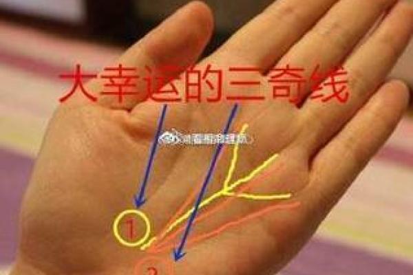 从手掌看命运，哪些纹路是富贵的象征