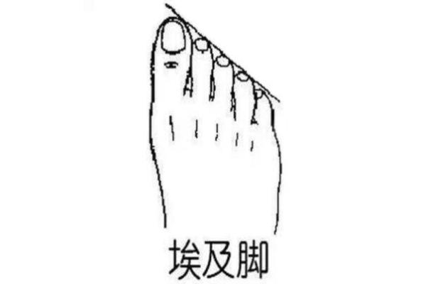 命运之脚：哪些脚型预示着富贵一生
