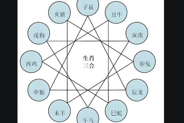 生肖相冲的最佳化解方法