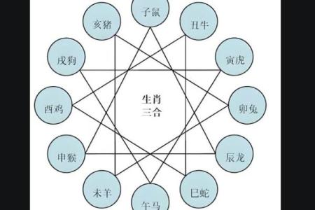 生肖相冲的最佳化解方法